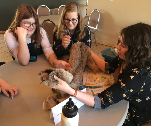 Career Discovery Days