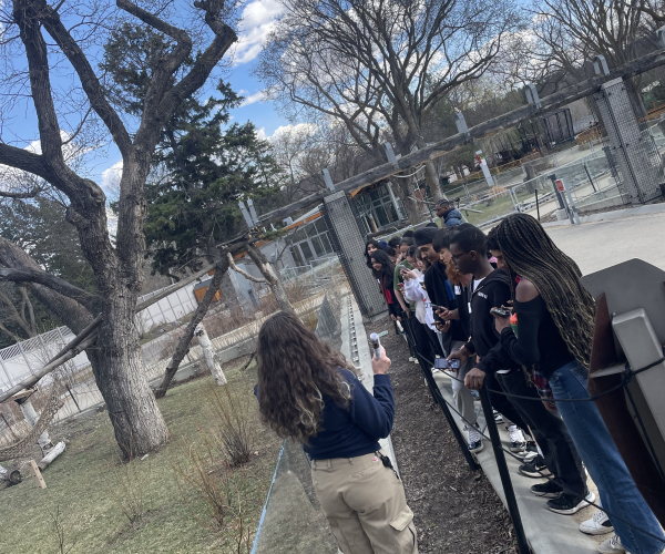 Climate Innovation Days