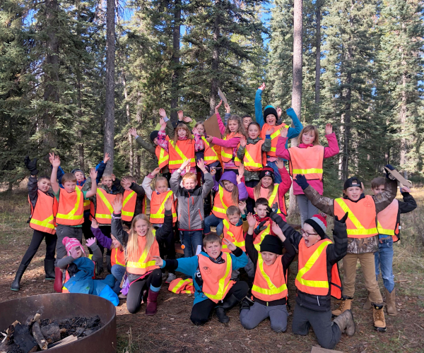 Crossley Forest Program