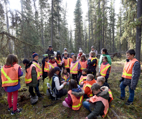 Crossley Forest Program