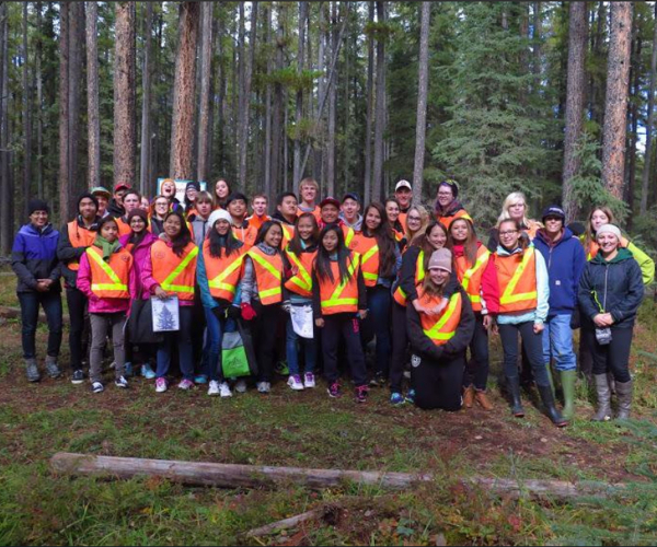 Crossley Forest Program