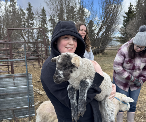 Environmental Innovation Days