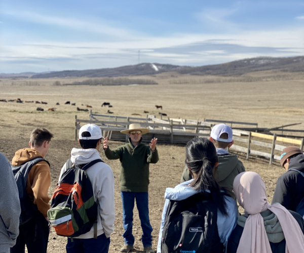 Environmental Innovation Days