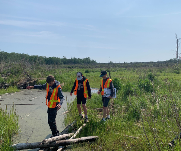 IE Board Page Highlights