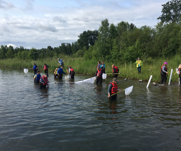 Professional Development