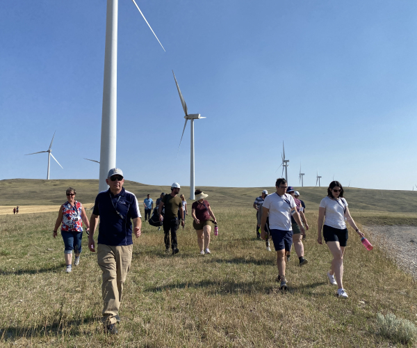 Professional Development