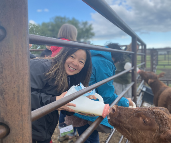 Professional Development