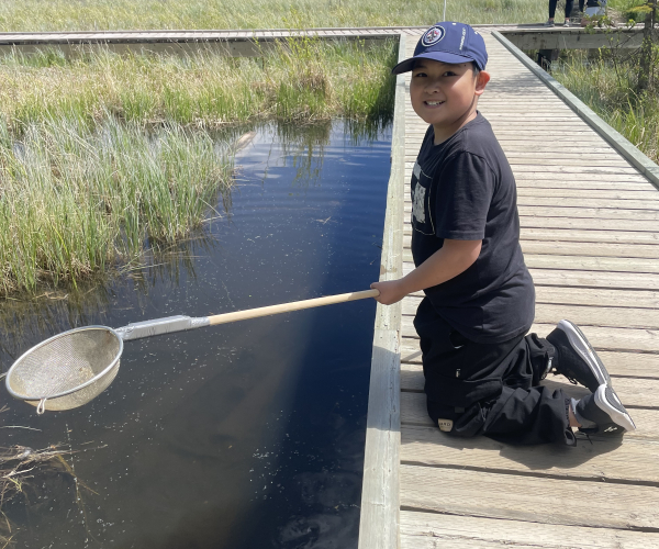 Wetlands Programs