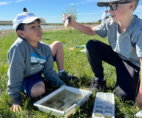 Wetlands Programs