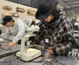 Alberta Boreal Careers Program