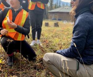 Career Discovery Days