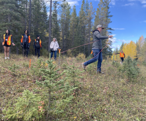 Career Discovery Days