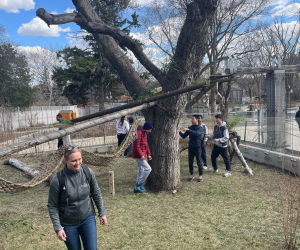 Climate Innovation Days