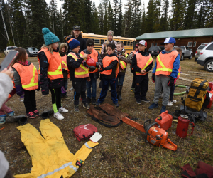 Crossley Forest Program