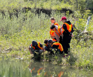 IE Board Page Highlights