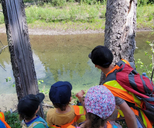 IE Board Page Highlights