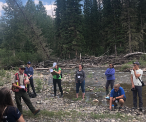 Professional Development