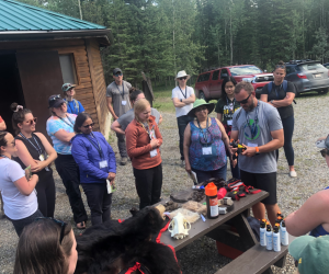 Professional Development