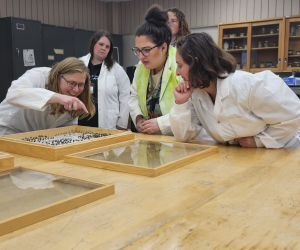 Professional Development