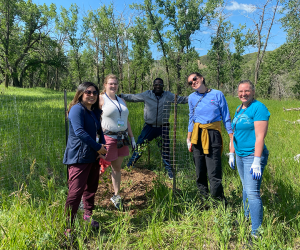 Professional Development