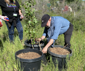 Professional Development