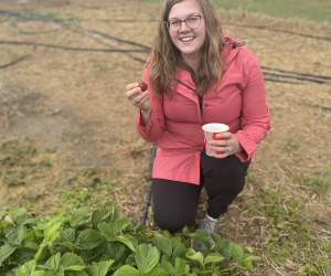 Professional Development