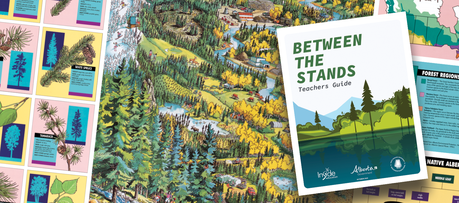 Between The Stands learning resources