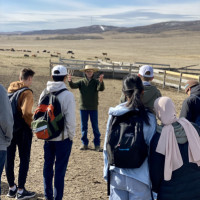 Agriculture in Alberta – Cultivating Stewardship