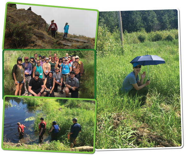 2024 Summer Institute Grasslands