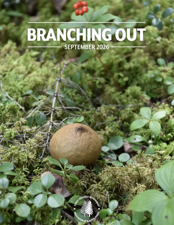 Branching Out: Working Together to Manage Our Vital Forest Resources