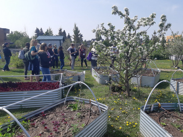 This program is open to all K-12 teachers, whether you have a green thumb or not.