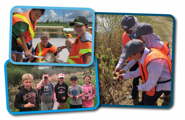 Inside Education is now offering no-cost wetland field trips across Alberta!