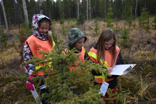 Spring Tree Planting Event
