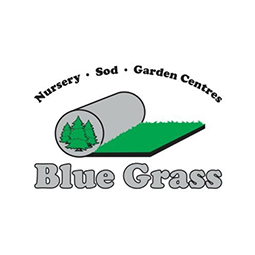 Blue Grass
