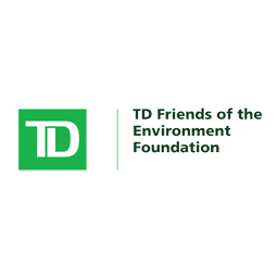 TD | Friends of the Environment Foundation