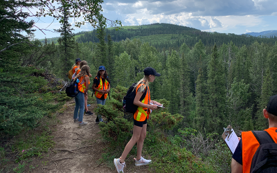 Jumpingpound Demonstration Forest