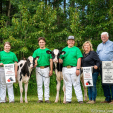Detimdale Holsteins